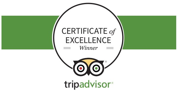 TripAdvisor Certificate